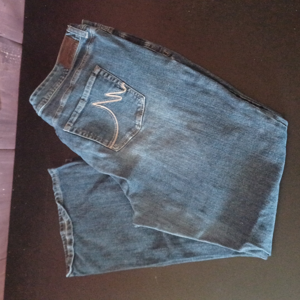 Maurices plus size jeans